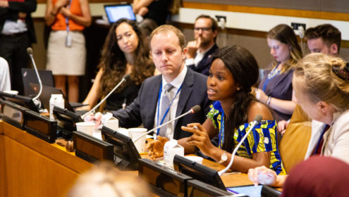 A youth advocate at the UN